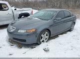 Acura Tl 19UUA66236A066010 снимка