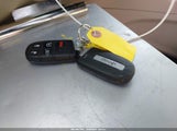 Miniaturka zdjęcia 11