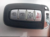 Miniaturka zdjęcia 11