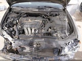 Acura Tsx JH4CL96905C023569 снимка