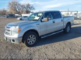 Ford F-150 Xlt 1FTFW1EF7DKE28489 снимка