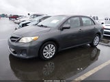 Toyota Corolla Le 2T1BU4EE1CC788404 снимка
