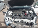 Toyota Camry Se 4T1B11HK1KU844900 photo