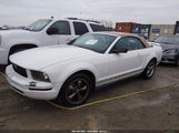 Ford Mustang V6 1ZVFT84N365118669 снимка