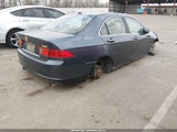 Acura Tsx JH4CL96906C008023 снимка
