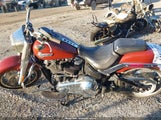 Harley-Davidson Flfbs 1HD1YGK12RB015594 photo