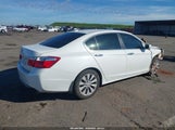 Honda Accord Ex-L 1HGCR2F84DA150030 снимка