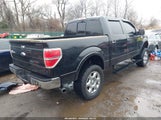 Ford F-150 King Ranch 1FTFW1ET8EKE67907 снимка