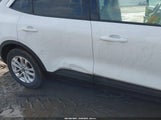 Miniaturka zdjęcia 6