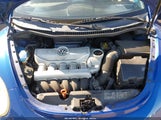 Volkswagen New Beetle 2.5 3VWRW31C67M513760 photo
