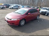 Honda Civic Lx 2HGFA16559H545511 снимка