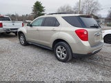 Chevrolet Equinox 1Lt 2GNALDEK8D1221506 снимка