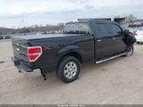 Ford F-150 Xlt 1FTFW1ET2DFD85811 снимка