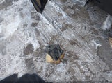 Buick Encore Awd Preferred KL4CJESMXNB535625 снимка