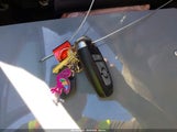 Miniaturka zdjęcia 11