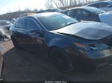Acura Tl Tech 19UUA9F58EA001177 fotografie