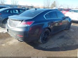 Acura Tl Tech 19UUA9F58EA001177 снимка