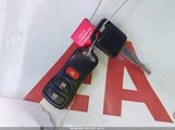 Miniaturka zdjęcia 11