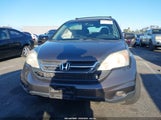 Honda Cr-V Lx 5J6RE4H3XBL067506 снимка