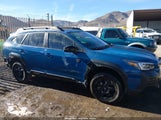 Subaru Outback Wilderness 4S4BTGUD5P3126672 снимка