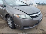 Honda Civic Lx 19XFA1F53AE025273 снимка