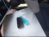 Miniaturka zdjęcia 11