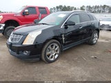 Cadillac Srx Premium Collection 3GYFNFEYXBS647072 снимка