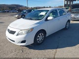 Toyota Corolla Le 2T1BU4EE2AC390339 fotografie