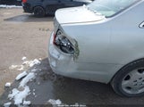 Miniaturka zdjęcia 6