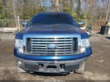 Ford F-150 Fx4/Harley-Davidson/King Ranch/Lariat/Platinum/Xl/Xlt 1FTFW1EV1AFD51906 fotografie