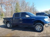 Ford F-150 Fx4/Harley-Davidson/King Ranch/Lariat/Platinum/Xl/Xlt 1FTFW1EV1AFD51906 fotografie