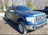 Ford F-150 Fx4/Harley-Davidson/King Ranch/Lariat/Platinum/Xl/Xlt 1FTFW1EV1AFD51906 fotografie