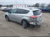 Toyota Rav4 Xle 2T3RFREV3GW485545 снимка