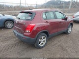 Miniaturka zdjęcia 4