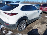 Mazda Cx-30 Select 3MVDMBBL6NM400169 fotografie