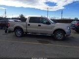 Ford F-150 60Th Anniversary/Fx4/King Ranch/Lariat/Xlt 1FTPW14V48FA76922 fotografie