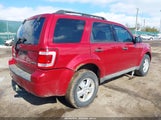 Ford Escape Xlt 1FMCU93769KB70309 снимка