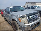 Ford F-150 Xl/Xlt 1FTEW1E83AFC36746 снимка