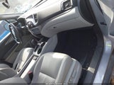 Miniaturka zdjęcia 5
