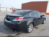Acura Tl 3.5 19UUA8F57CA020164 снимка
