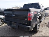 Ford F-150 Fx4 1FTFW1EF2CFA69995 снимка