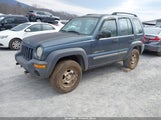 Jeep Liberty Sport 1J4GK48K92W315556 fotografie