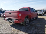 Toyota Tundra Platinum 5.7L V8 5TFAW5F16JX686361 снимка
