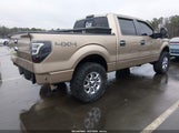 Ford F-150 Xlt 1FTFW1ET7DFD64582 снимка