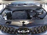 Kia Telluride Sx Prestige X-Line 5XYP5DGCXRG526022 photo