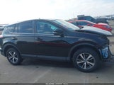 Toyota Rav4 Xle 2T3RFREV5JW806704 снимка