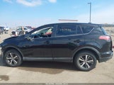 Toyota Rav4 Xle 2T3RFREV5JW806704 снимка
