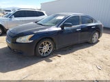 Miniaturka zdjęcia 2