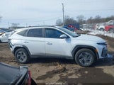 Hyundai Tucson Hybrid Blue KM8JBDD12SU329007 photo