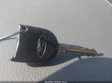 Miniaturka zdjęcia 11